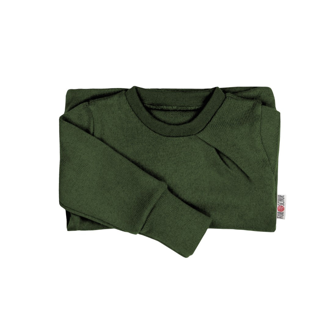 Upcycling Kaschmirpullover mit der Falte Dinosaurier